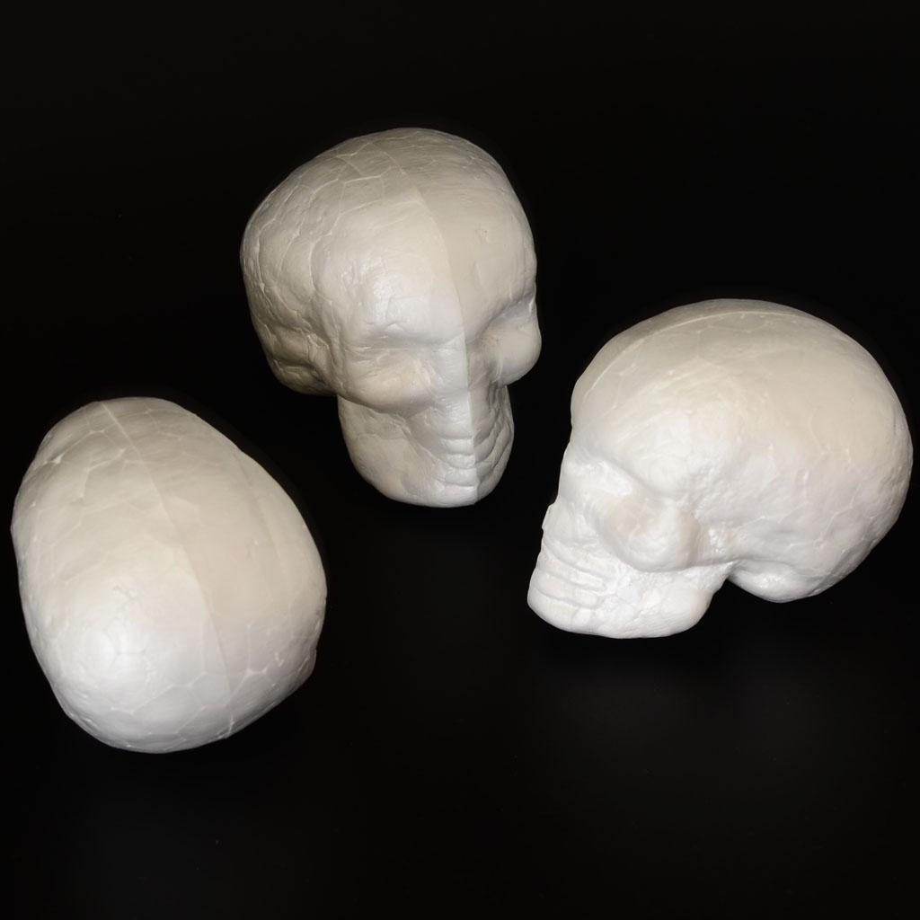 Moldable Craft Foam Skull Shap - Art Craft For Kindergarten review and price