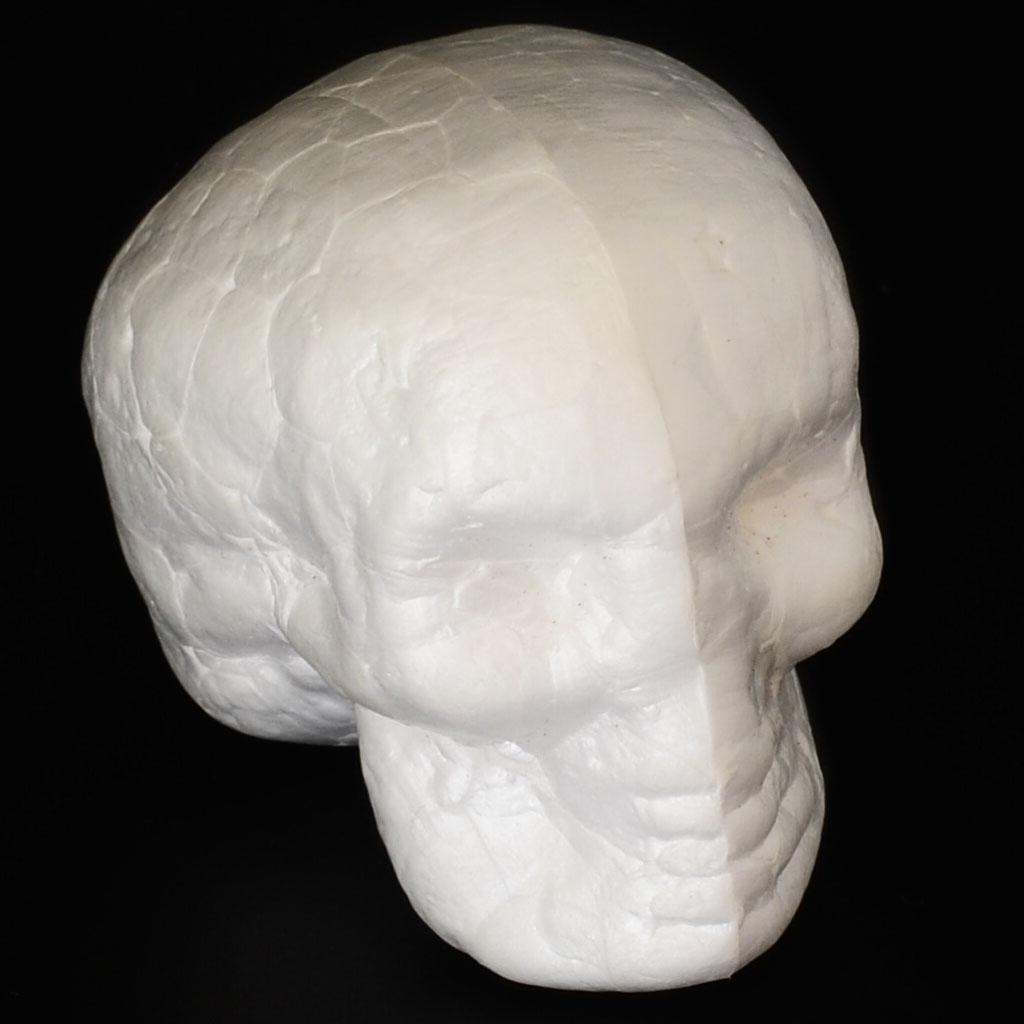 Moldable Craft Foam Skull Shap - Art Craft For Kindergarten review and price